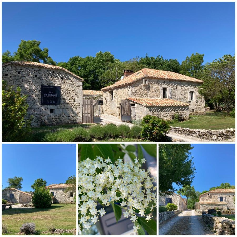 Les Fontanelles Du Quercy Blanc Villa Montcuq Exterior photo
